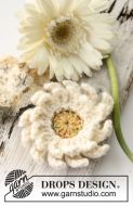 Gerbera 